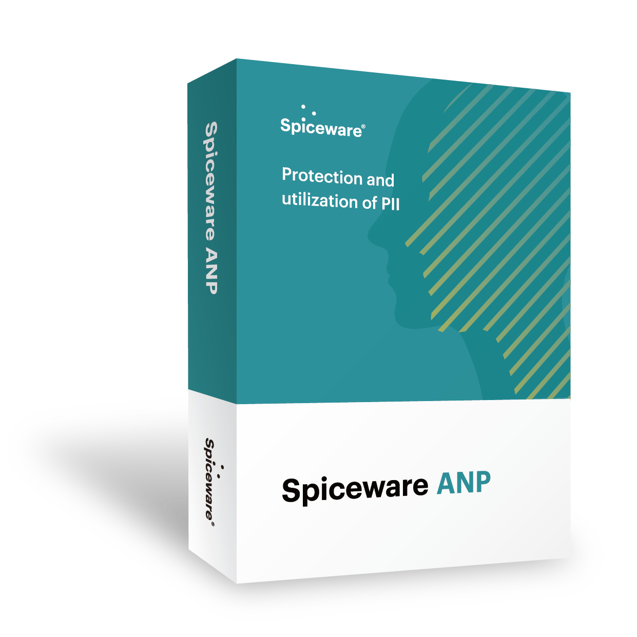 민감정보 비식별화 솔루션 