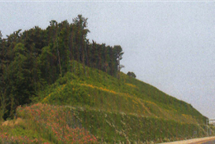 GNS SOIL 사면보강 녹화공법