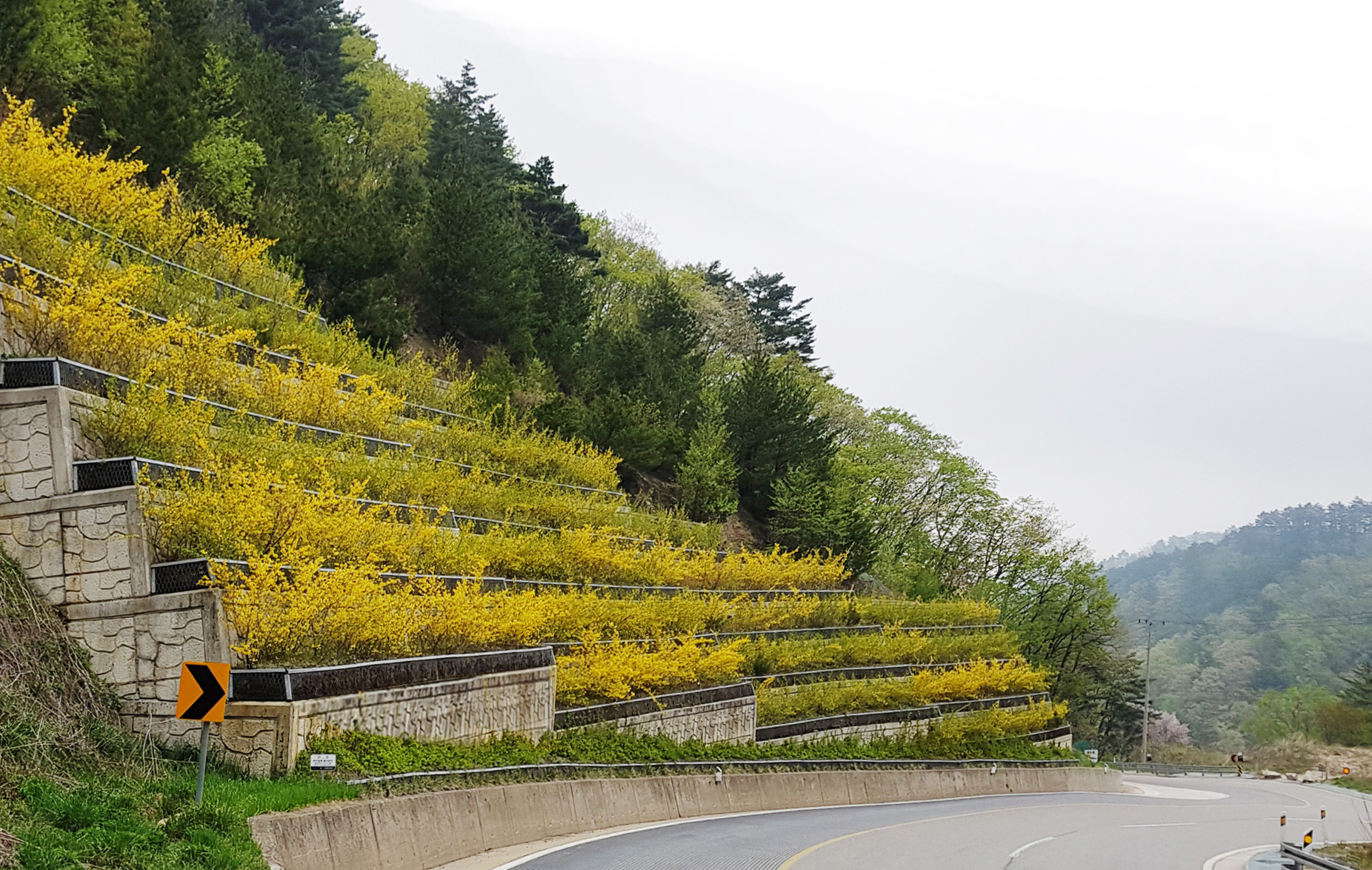 계단식 옹벽 녹화 공법