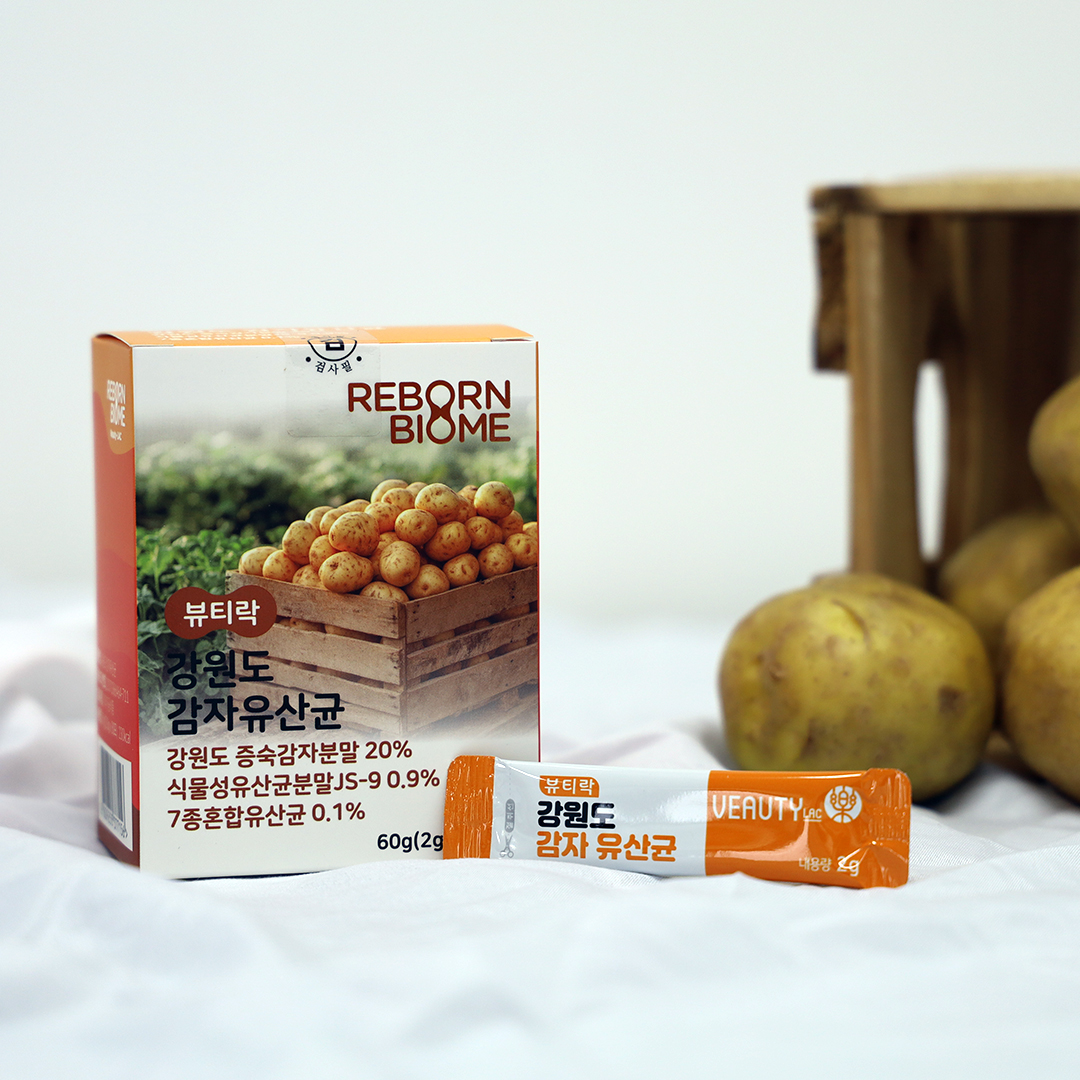 강원도 감자유산균