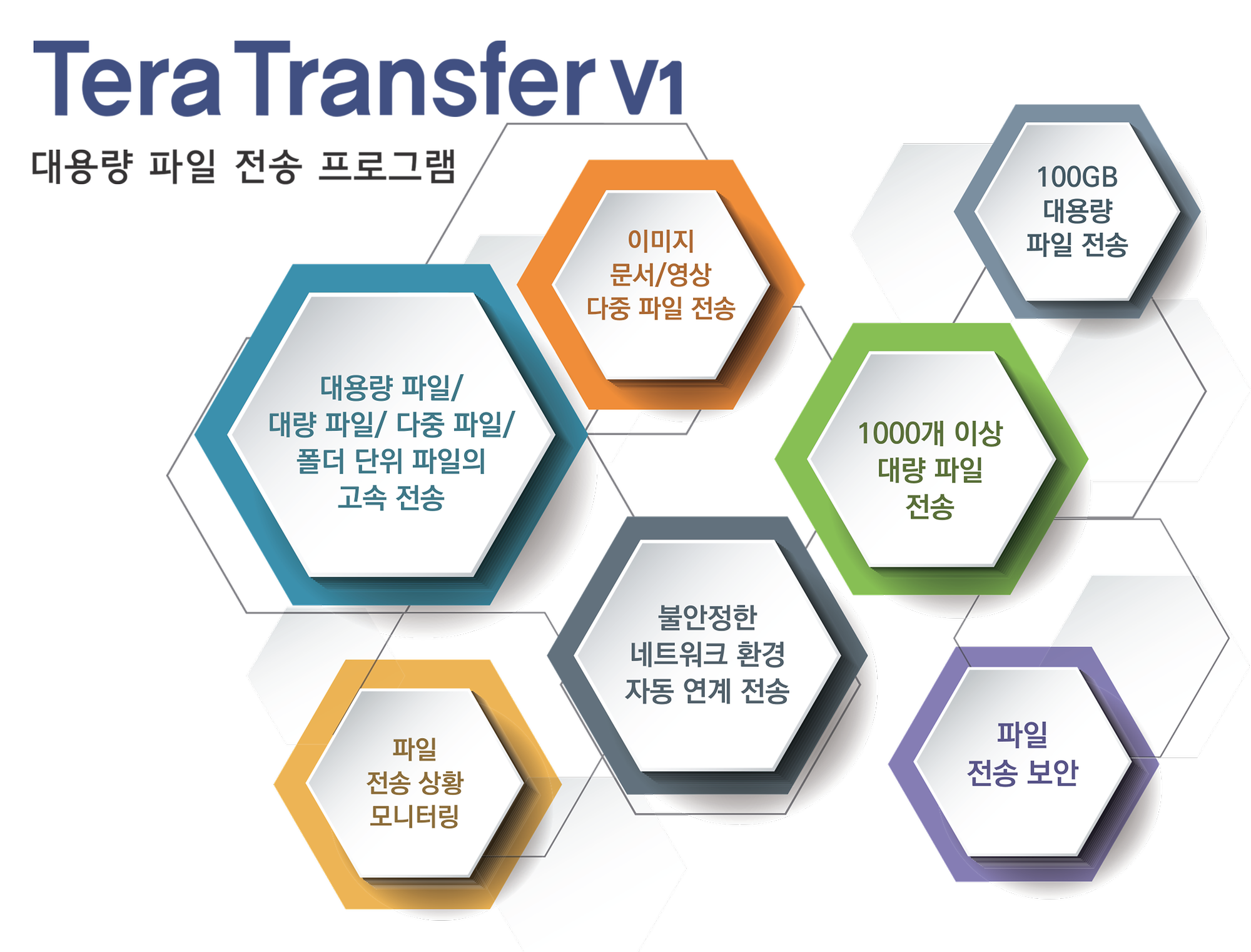 테라트랜스퍼 V1