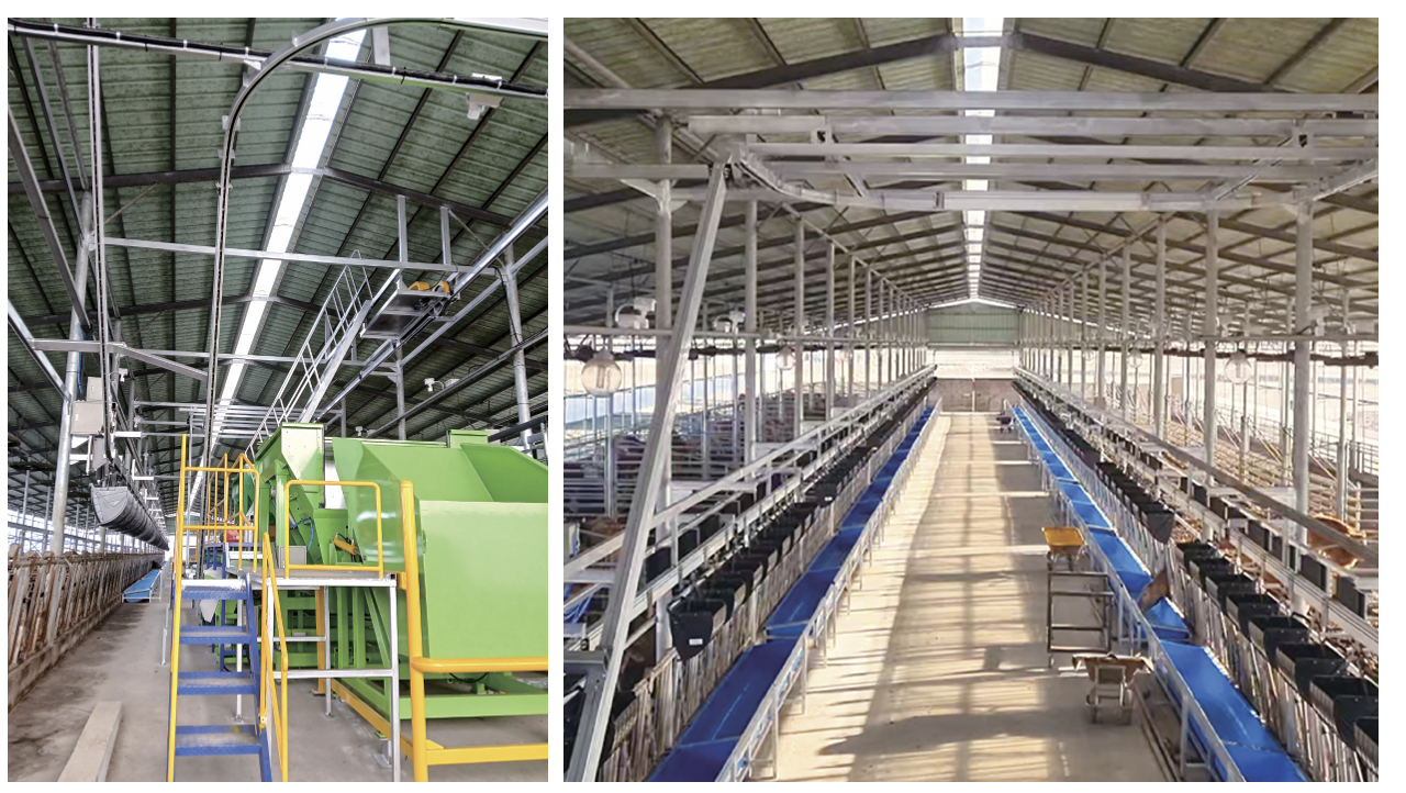 무인 자동 급이 시스템 (카우프리)