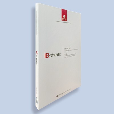 IB Sheet 8