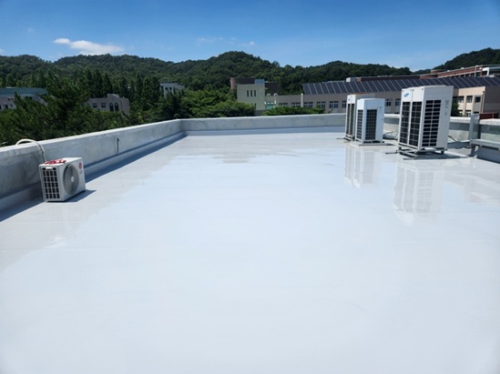 수팽창하는 아크릴레이트를 합지한 합성고분자계 시트와 도막재를 활용한 누수감지형 노출 복합방수공법