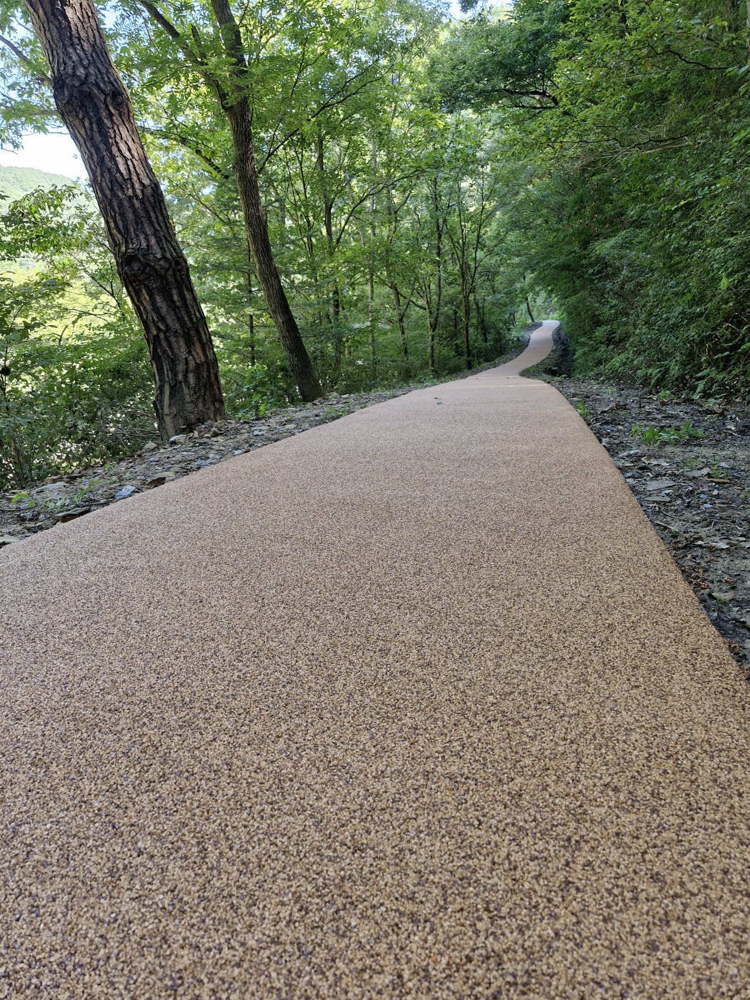 친환경 코르크바닥포장재