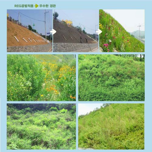 희토비료가 포함된 비탈면 식생기반재 조성물과 식생기반재 및 이를 이용한 친환경 복원녹화공법