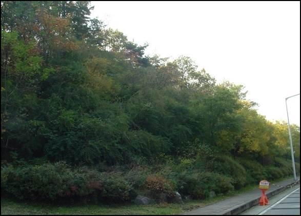 자연표토복원공법