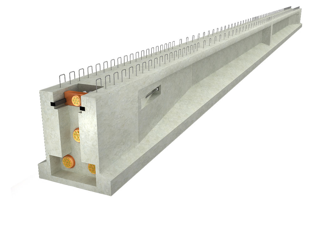 PS강선의 인장과 강봉의 압축을 동시에 도입하는 Bicon 거더