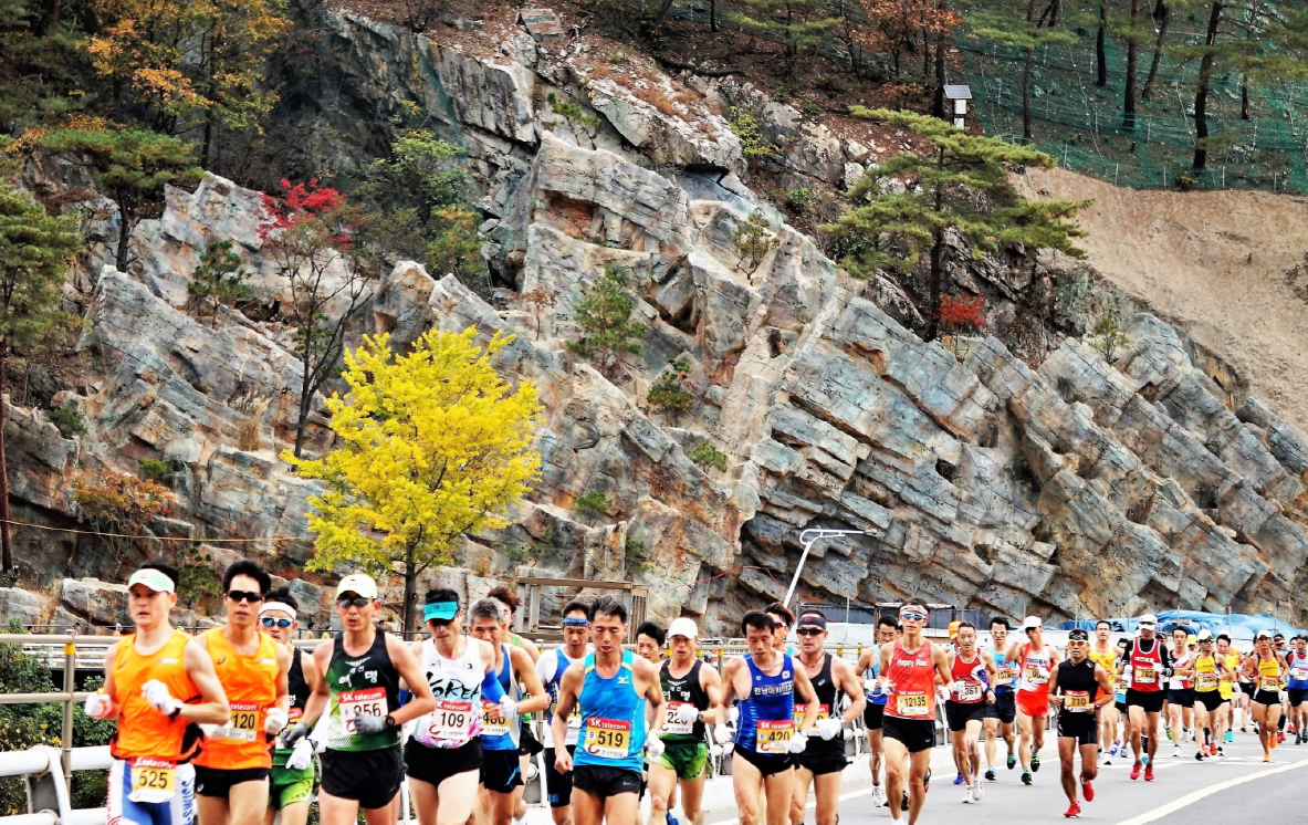 친환경 생물콘크리트 자연바위 옹벽