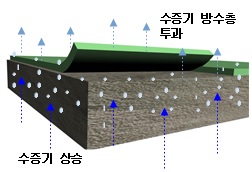 초속경화형 통기성 도막방수공법