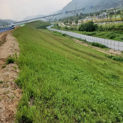 테라거적 뿌리기 공법