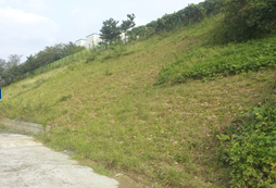 엔쏘일 표층개량공법