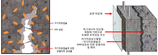 FPP 섬유보강 마그네시아 인산염 복합체 기반 자기치유 모르타르를 이용한 콘크리트 구조물의 보수공법